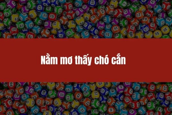 nằm mơ thấy chó cắn