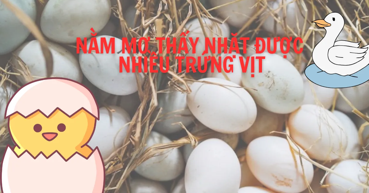 Nằm Mơ Thấy Nhặt Được Trứng Vịt