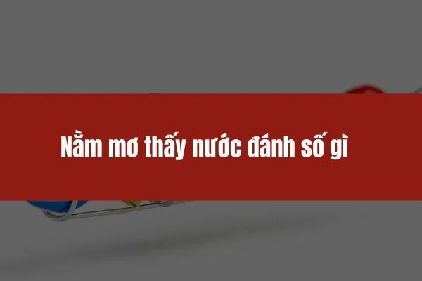 Nằm mơ thấy nước đánh số gì